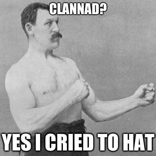 Clannad? Yes I cried to hat  overly manly man