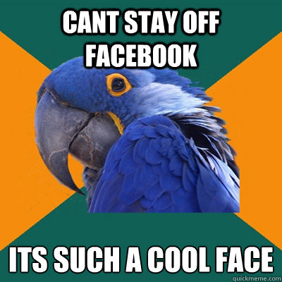 cant stay off facebook  its such a cool face 
  Paranoid Parrot