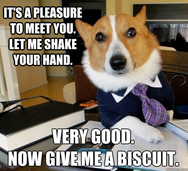 It's a pleasure to meet you. Let me shake your hand. Very good.
Now give me a biscuit. - It's a pleasure to meet you. Let me shake your hand. Very good.
Now give me a biscuit.  Lawyer Dog