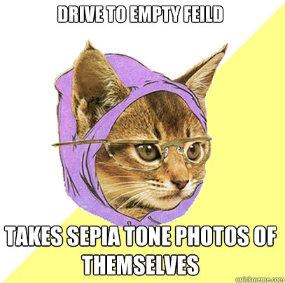 drive to empty feild takes sepia tone photos of themselves  Hipster Kitty