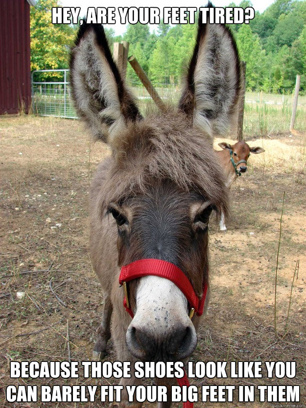 Hey, are your feet tired? Because those shoes look like you can barely fit your big feet in them - Hey, are your feet tired? Because those shoes look like you can barely fit your big feet in them  Bad Pickup Line Donkey