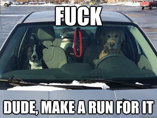 fuck dude, make a run for it - fuck dude, make a run for it  Misc