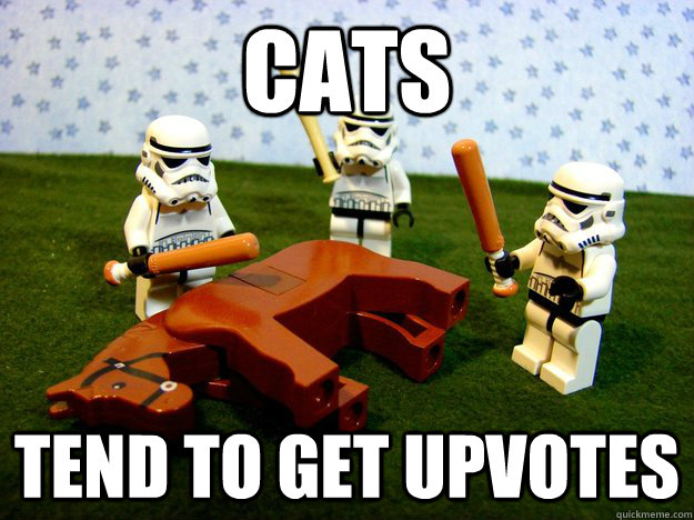 Cats tend to get upvotes  Dead Horse