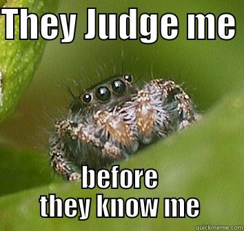THEY JUDGE ME  BEFORE THEY KNOW ME Misunderstood Spider
