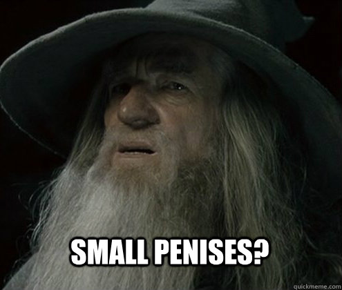 Small Penises?  Forgetful Gandalf