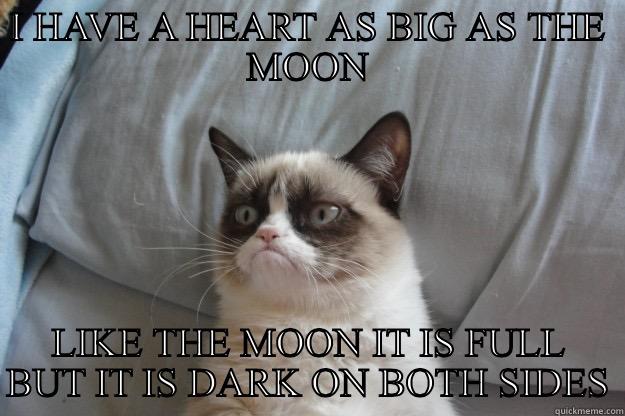 I HAVE A HEART AS BIG AS THE MOON LIKE THE MOON IT IS FULL BUT IT IS DARK ON BOTH SIDES Grumpy Cat
