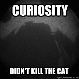 Curiosity Didn't kill the cat - Curiosity Didn't kill the cat  Curiosity didnt kill the cat