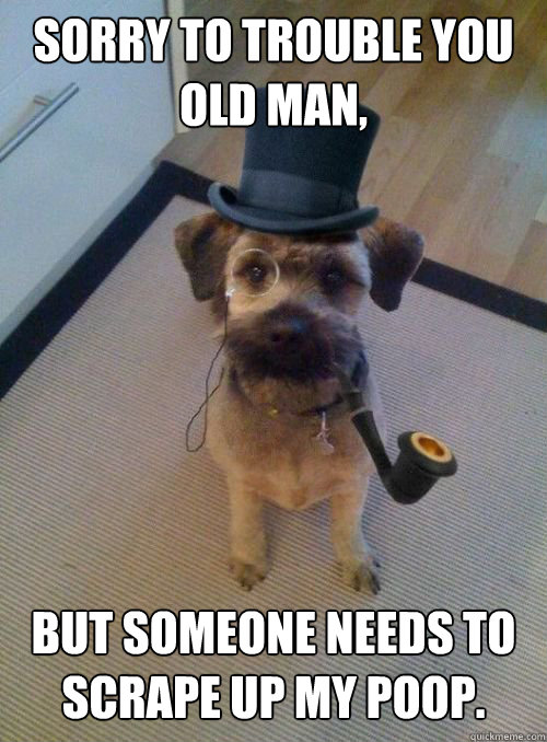 Sorry to trouble you old man,  but someone needs to scrape up my poop.  