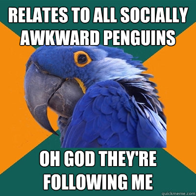 Relates to all Socially Awkward Penguins Oh God they're following me  Paranoid Parrot