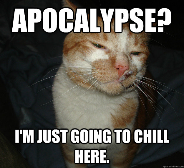 Apocalypse? I'm just going to chill here.  Cool Cat Craig