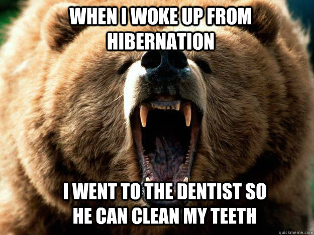 When i woke up from hibernation I went to the dentist so he can clean my teeth  Hibernation Bear