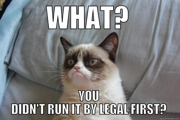 WHAT? YOU DIDN'T RUN IT BY LEGAL FIRST? Grumpy Cat