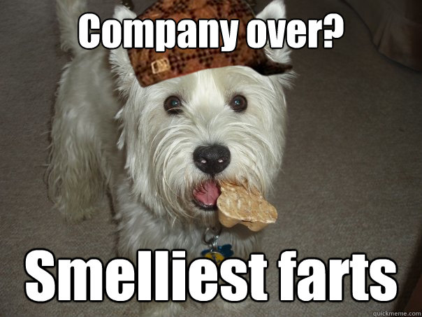 Company over?  Smelliest farts  Scumbag Zeus