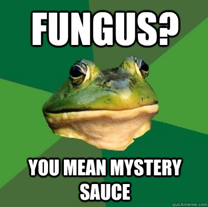 Fungus? you mean mystery sauce  Foul Bachelor Frog
