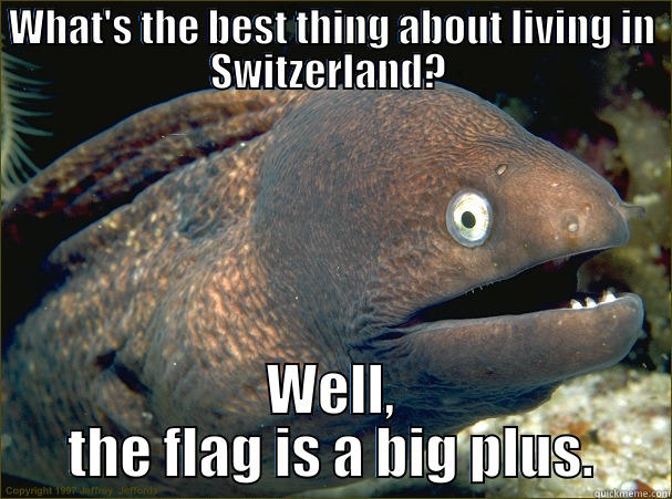 WHAT'S THE BEST THING ABOUT LIVING IN SWITZERLAND?  WELL, THE FLAG IS A BIG PLUS. Bad Joke Eel
