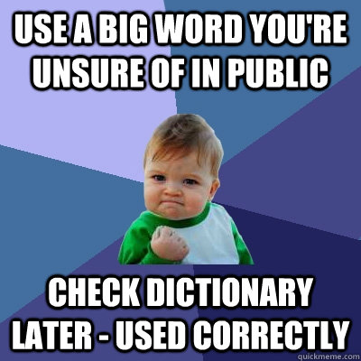 Use a big word you're unsure of in public check dictionary later - used correctly - Use a big word you're unsure of in public check dictionary later - used correctly  Success Kid