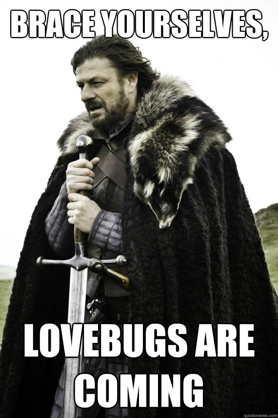 Brace yourselves, Lovebugs are coming  Brace yourself