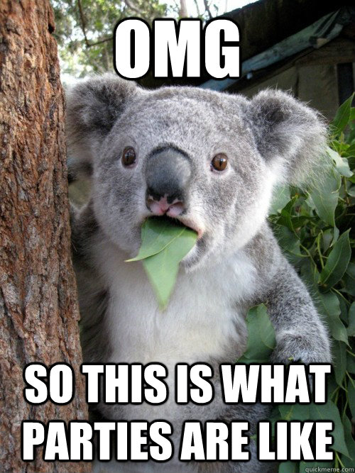 OMG  so this is what parties are like   Koala