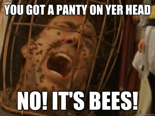 You got a panty on yer head NO! it's bees! - You got a panty on yer head NO! it's bees!  Nicolas Cage