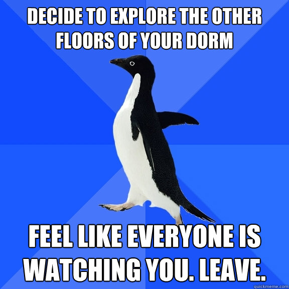 DECIDE TO EXPLORE THE OTHER FLOORS OF YOUR DORM FEEL LIKE EVERYONE IS WATCHING YOU. LEAVE.  Socially Awkward Penguin