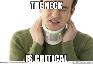 THE NECK IS CRITICAL  neck