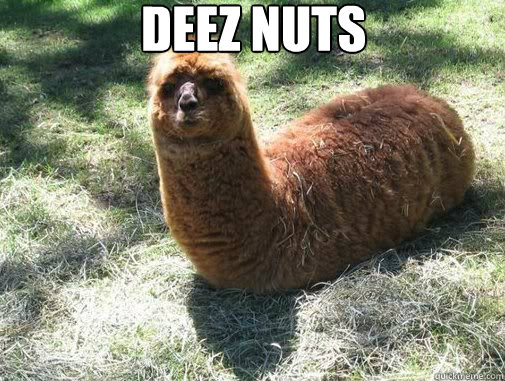 deez nuts  - deez nuts   Alpacapillar