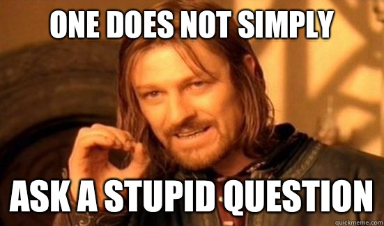 One Does Not Simply ask a stupid question  Boromir