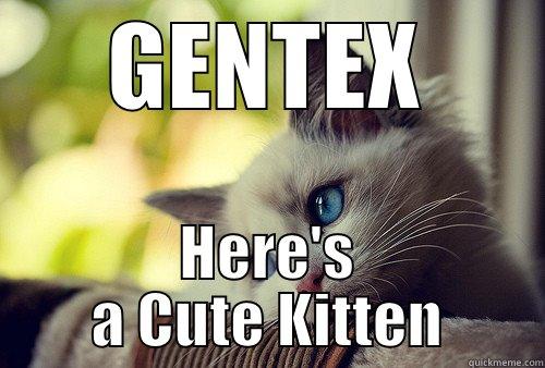 GENTEX HERE'S A CUTE KITTEN First World Problems Cat