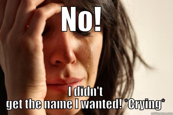 NO!  I DIDN'T GET THE NAME I WANTED! *CRYING* First World Problems