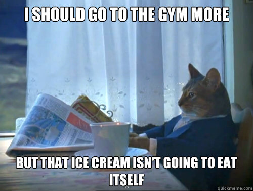 I should go to the gym more but that ice cream isn't going to eat itself  The One Percent Cat