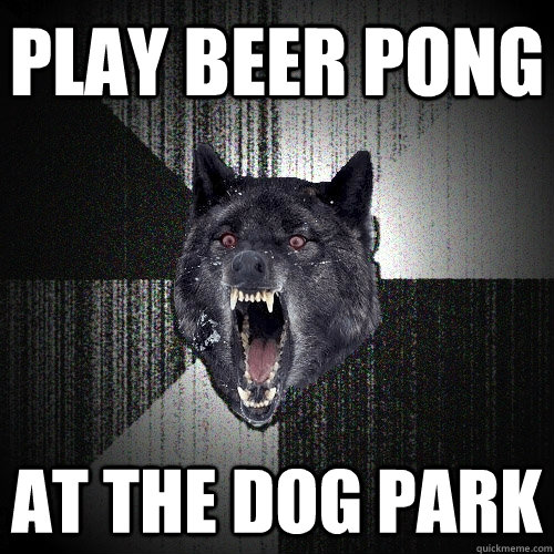 play beer pong at the dog park  Insanity Wolf