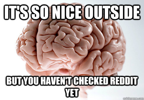 It's so nice outside But you haven't checked reddit yet  Scumbag Brain