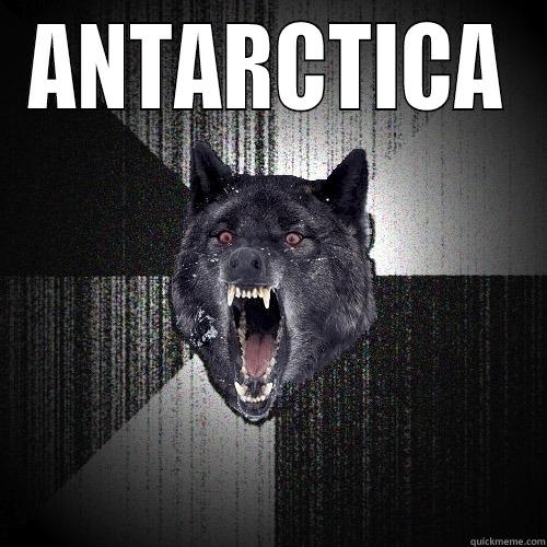 ANTARCTICA  Insanity Wolf