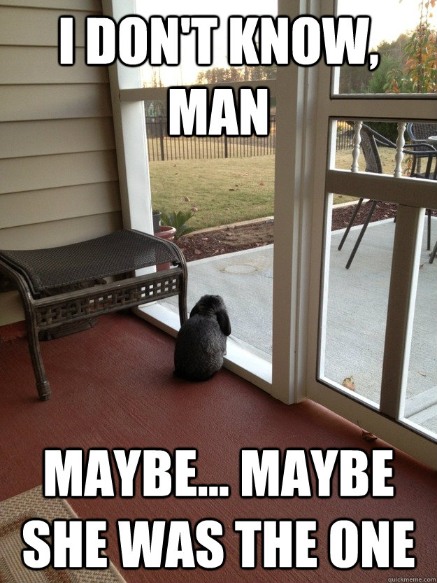 I don't know, Man Maybe... Maybe she was the one  Facing Reality Bunny