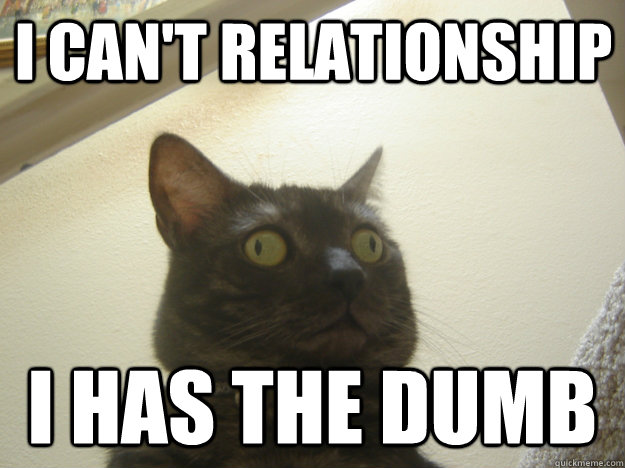 I can't Relationship I has the dumb  Derp Cat