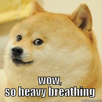Doge Heavy Breathing -  WOW, SO HEAVY BREATHING Misc