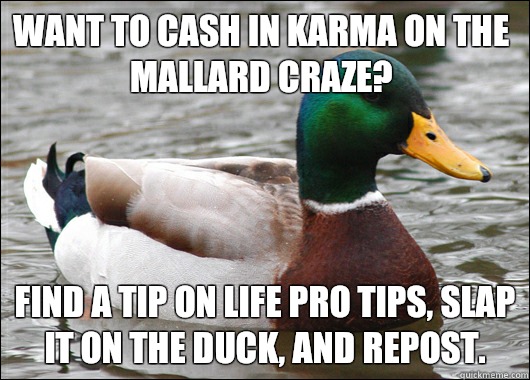 Want to cash in karma on the mallard craze? Find a tip on Life Pro Tips, slap it on the duck, and repost.  Actual Advice Mallard