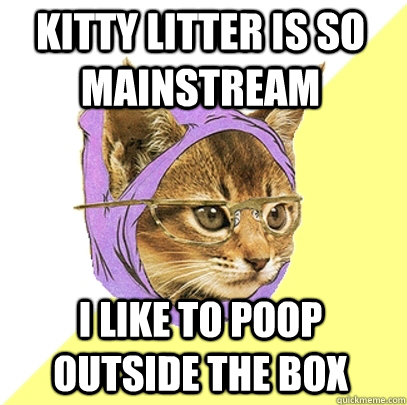 kitty litter is so mainstream I like to poop outside the box  Hipster Kitty