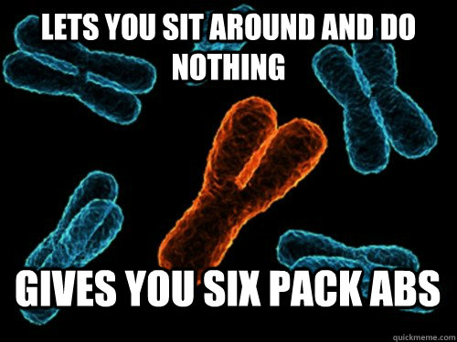 Lets you sit around and do nothing Gives you six pack abs - Lets you sit around and do nothing Gives you six pack abs  Good Guy Y chromosome
