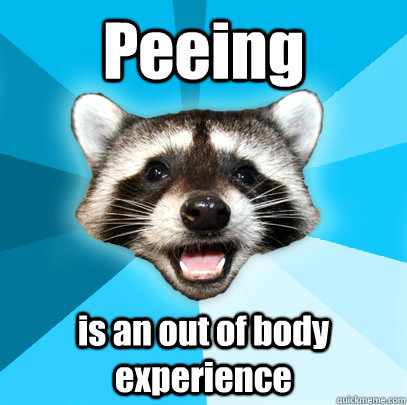 Peeing is an out of body experience  Lame Pun Coon