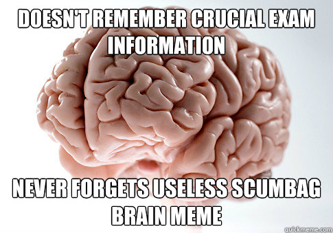 doesn't remember crucial exam information never forgets useless scumbag brain meme  Scumbag Brain