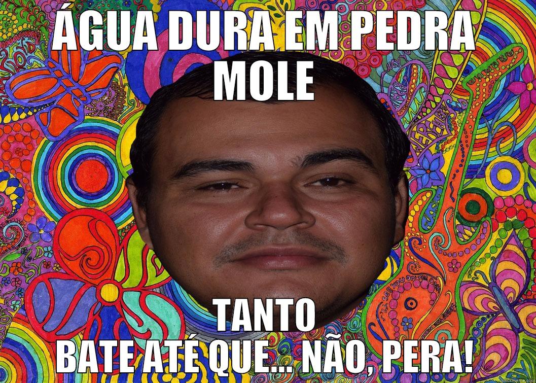 Psychedelic Boi - ÁGUA DURA EM PEDRA MOLE TANTO BATE ATÉ QUE... NÃO, PERA! Misc