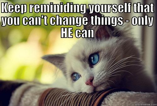 KEEP REMINIDING YOURSELF THAT YOU CAN'T CHANGE THINGS - ONLY HE CAN  First World Problems Cat