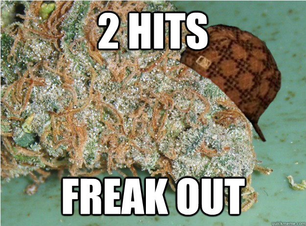 2 hits freak out - 2 hits freak out  scumbag dank weed