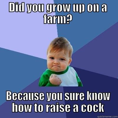 DID YOU GROW UP ON A FARM? BECAUSE YOU SURE KNOW HOW TO RAISE A COCK Success Kid