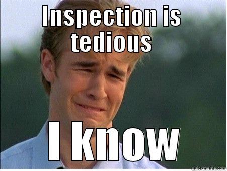 INSPECTION IS TEDIOUS  I KNOW 1990s Problems