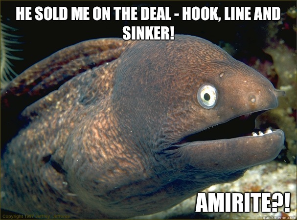 He sold me on the deal - hook, line and sinker! AMIRITE?! - He sold me on the deal - hook, line and sinker! AMIRITE?!  Bad Joke Eel