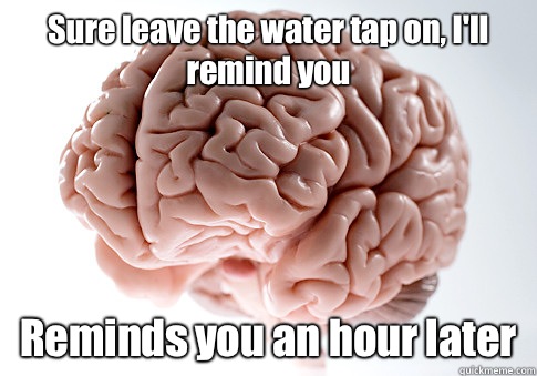 Sure leave the water tap on, I'll remind you Reminds you an hour later   Scumbag Brain