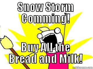 SNOW STORM COMMING! BUY ALL THE BREAD AND MILK! All The Things