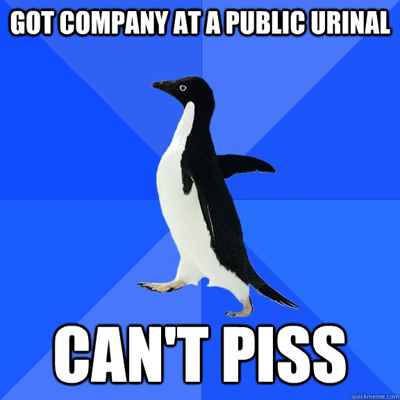 got company at a public urinal can't piss  Socially Awkward Penguin